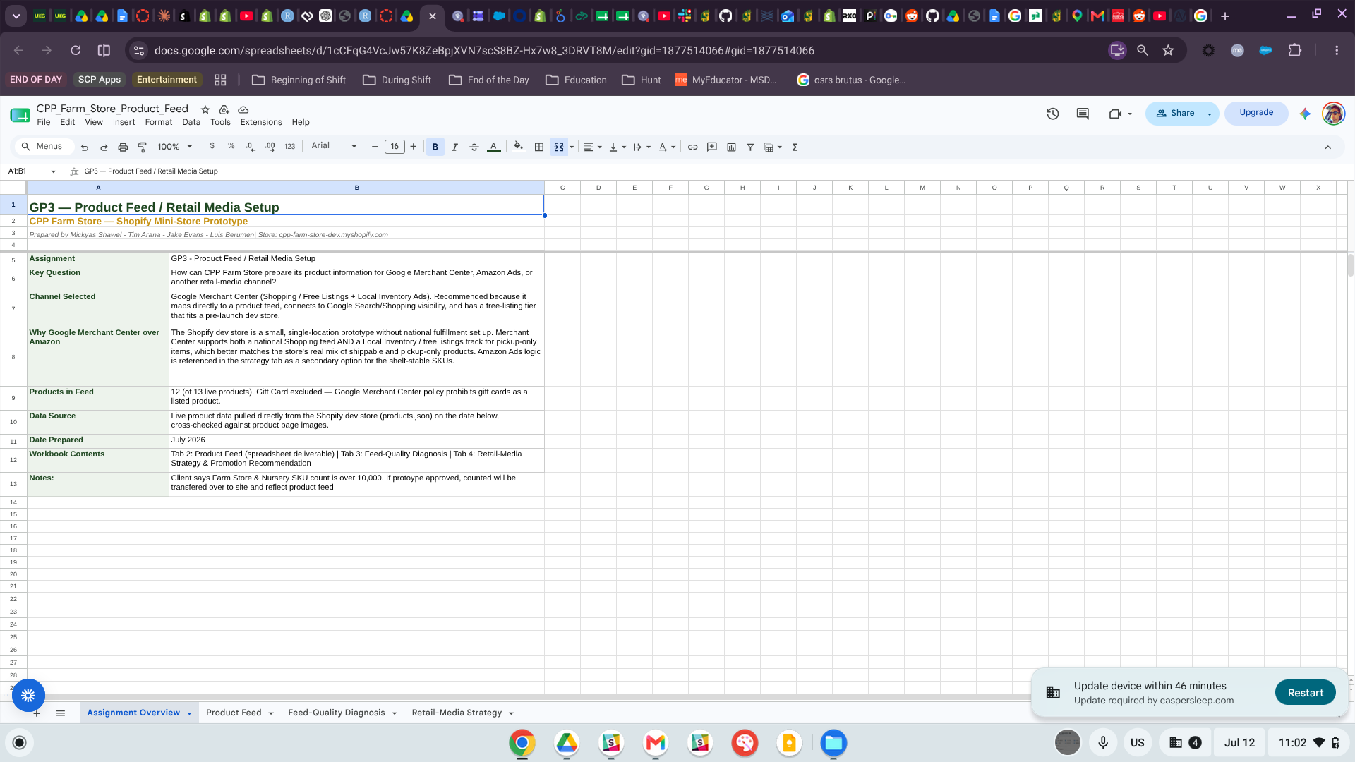Assignment Overview tab of the workbook.